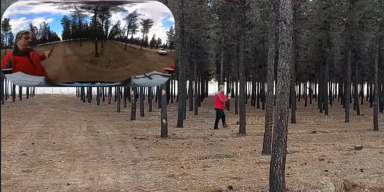 Skogsarbetare skannar i en tallplantering med 360-graders bild inlagd