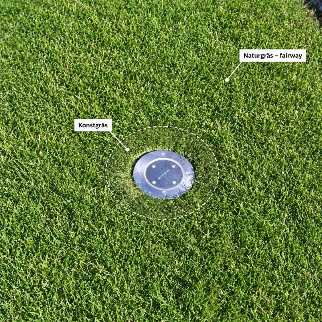 Jämförelse mellan konstgräs och naturgräs-fairway runt en nedgrävd markbelysning/sprinkler på en golfbana