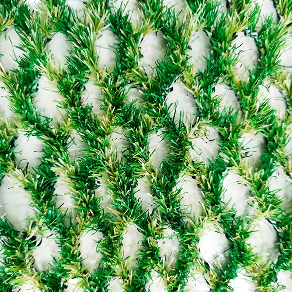 AM Hybridgräs - närbild på nätstrukturen