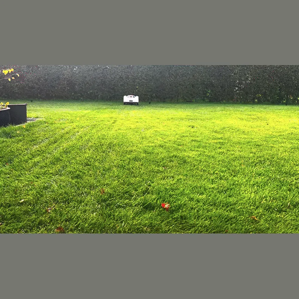 Parralle Mowing .webp