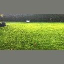 Parralle Mowing .webp