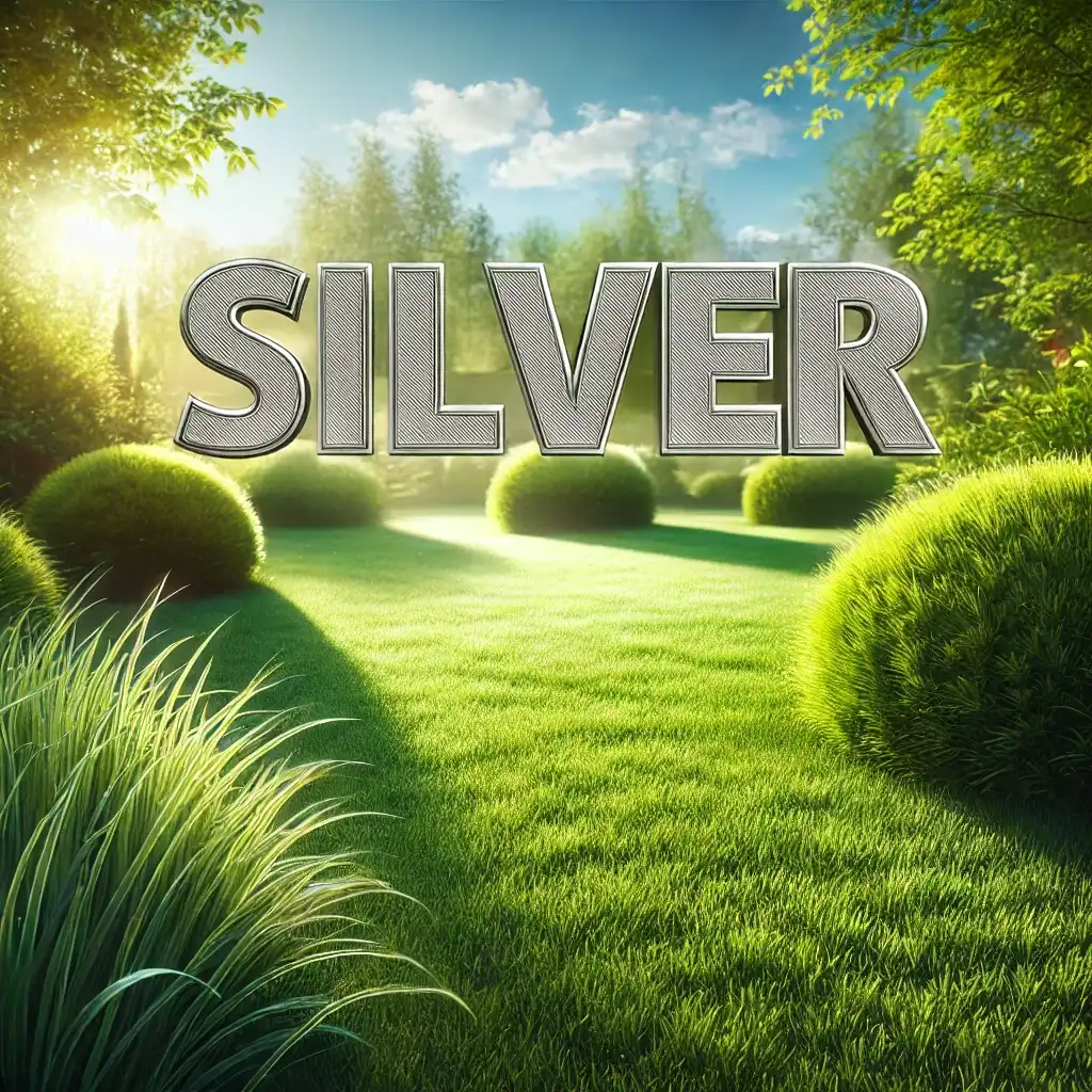 [4052-DA] Silver Subskription Distans