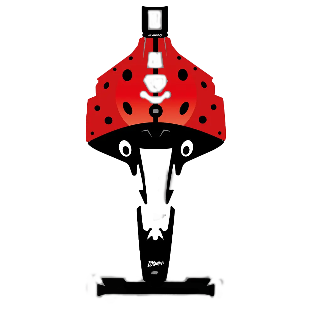 Coccinelle Edition – Dekal till LUBA 2 X