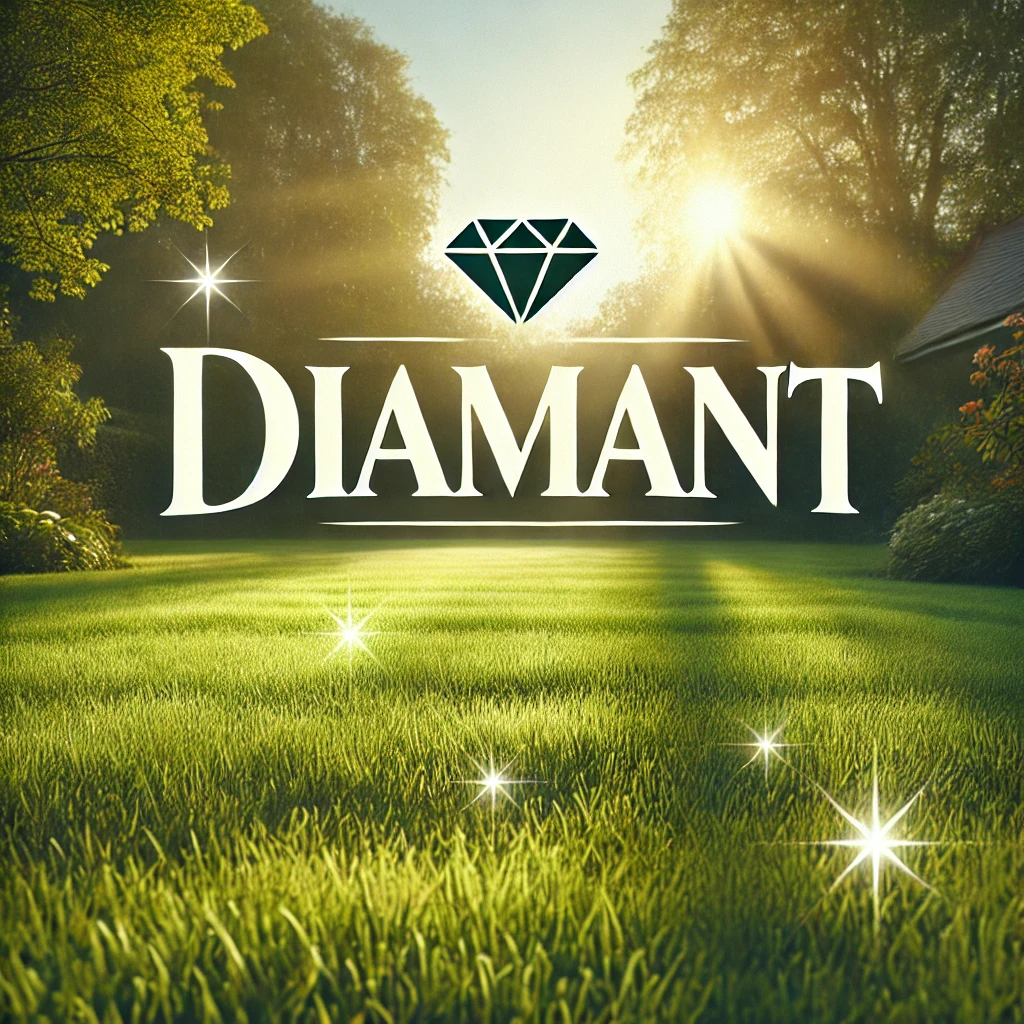 [4055-1] Diamant Trygghetsabonnemang årsvis